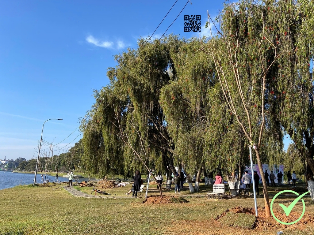 Dữ liệu truy xuất nguồn gốc (Traceability)