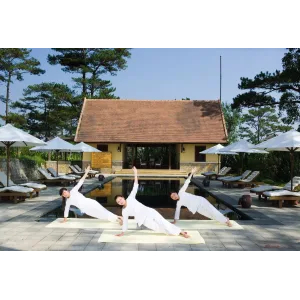 Thể Hình & Yoga