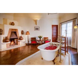 Accolades & Distinction