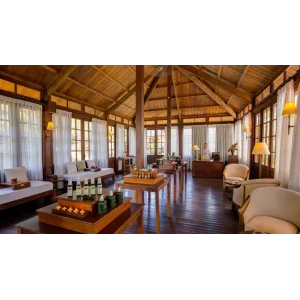 Wellness & Rejuvenation