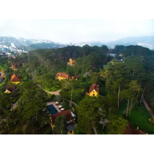 Wellness & Rejuvenation