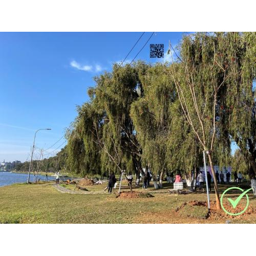 Dữ liệu truy xuất nguồn gốc (Traceability)