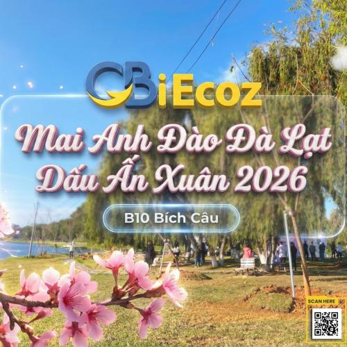 Mai Anh Đào Đà Lạt 2026 – Truy Xuất Nguồn Gốc tại B10, Bích Câu