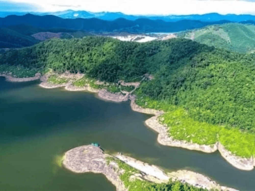 Kết quả tích cực trong hợp tác lâm nghiệp