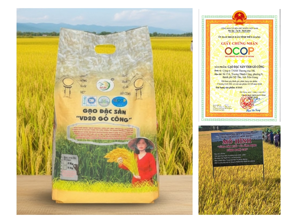 Lợi ích nổi bật của Gạo đặc sản VD20 Gò Công HKG