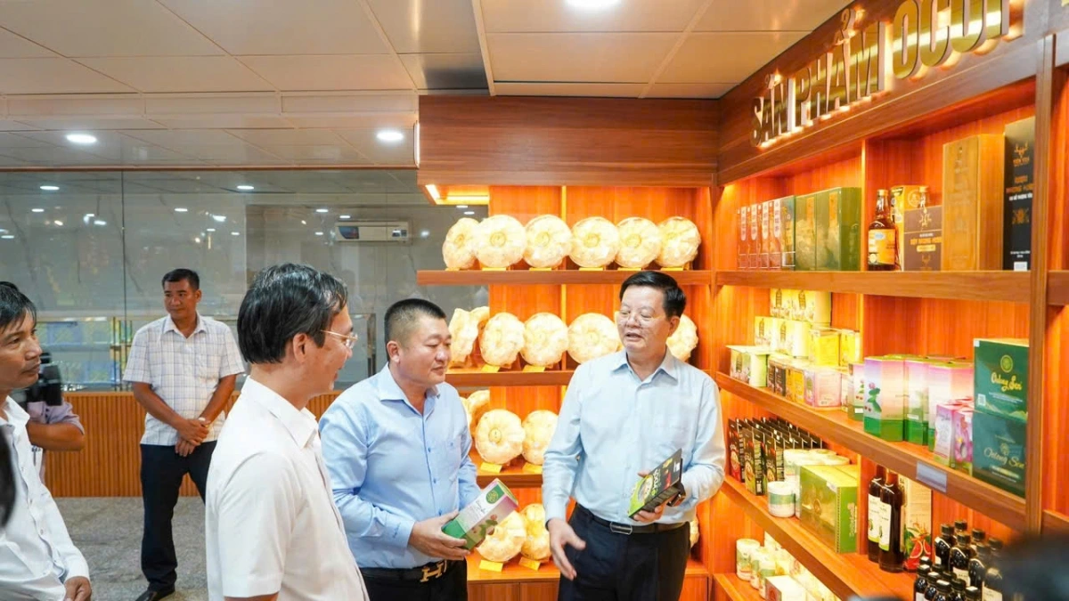 Doanh nghiệp OCOP nâng cao chuỗi giá trị, hướng đến xuất khẩu