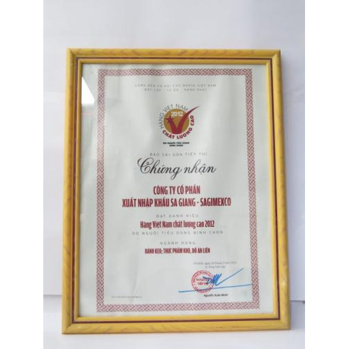 VI. Danh hiệu & giải thưởng tiêu biểu