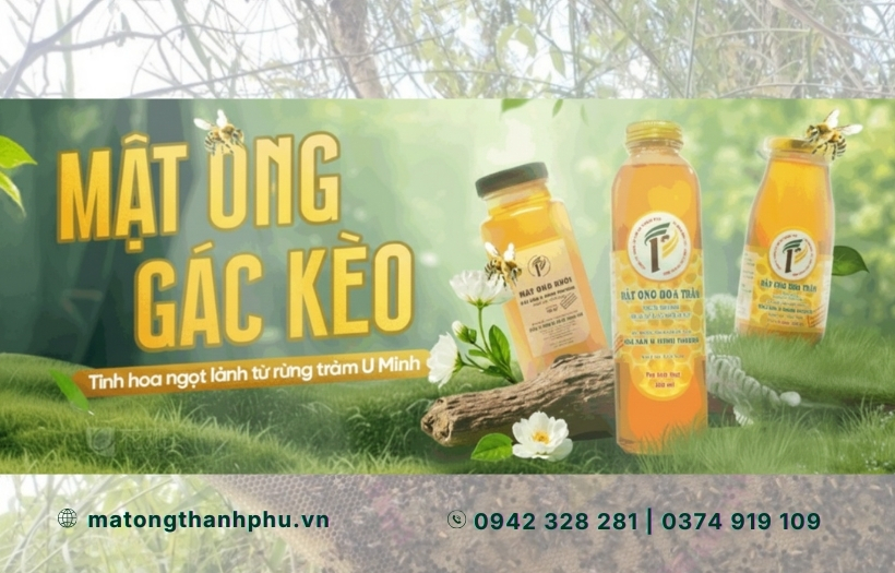Năng lực & Cam kết chất lượng: