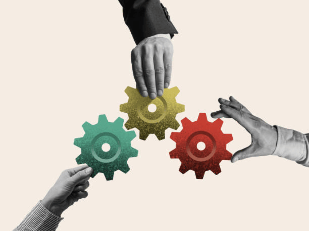 Phối hợp nhịp nhàng, phân công rõ ràng