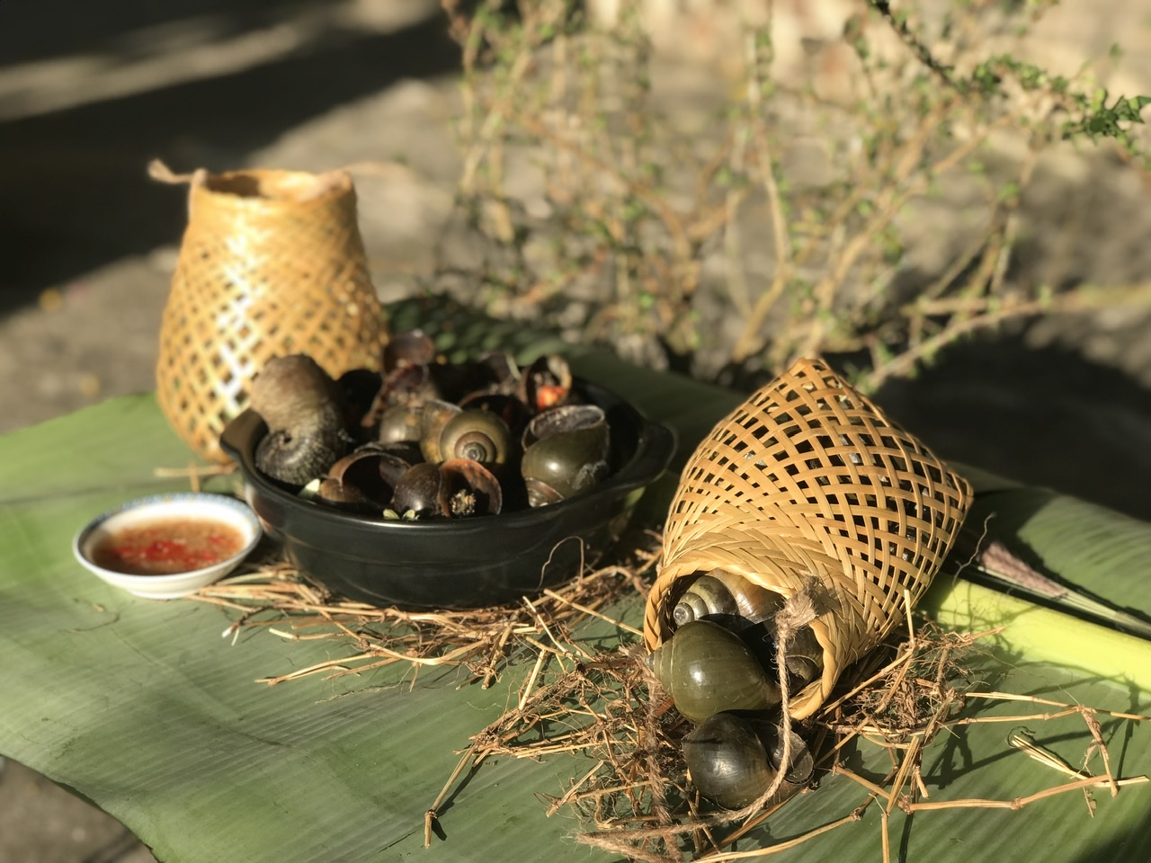 2: Xuất xứ và nguyên liệu sản phẩm