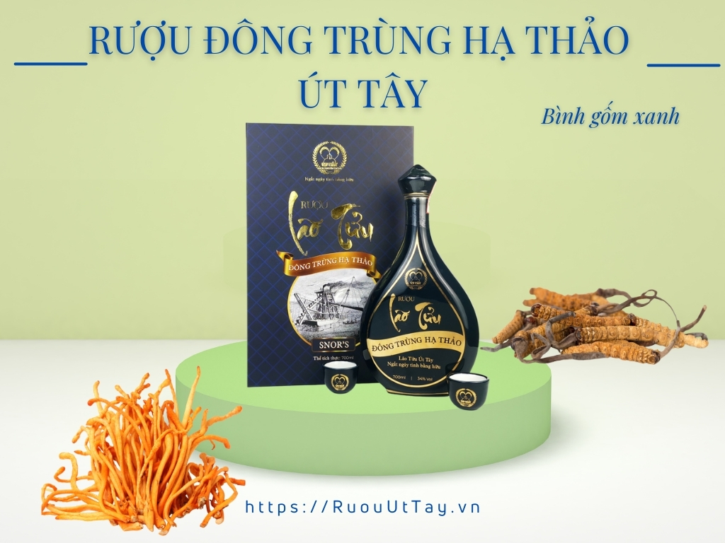 Rượu lão tửu đông trùng hạ thảo Út Tây (bình gốm xanh)