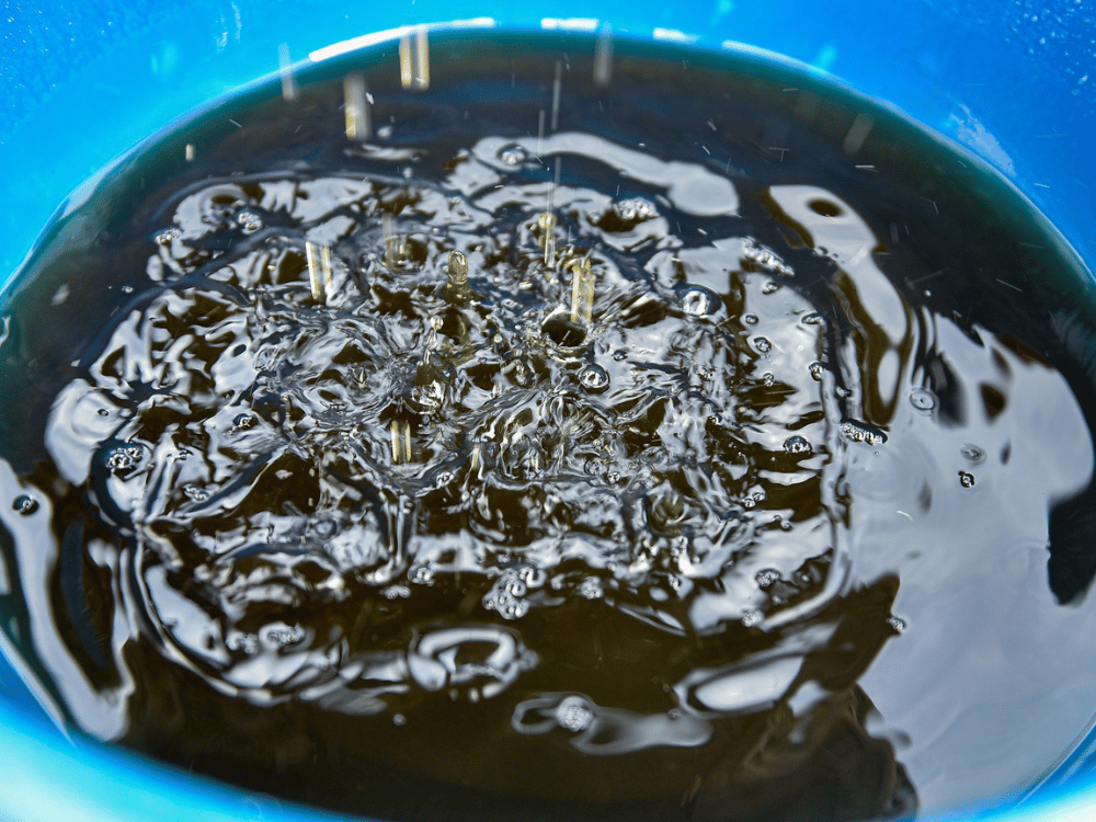 Nước mắm Việt — Hương vị quê hương lan rộng khắp châu Âu