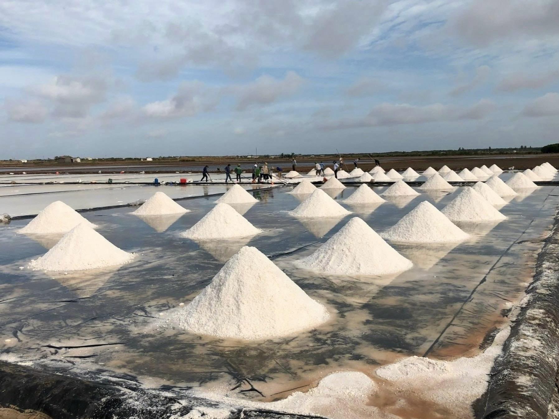 Vị mặn của muối: Trực tiếp và đơn vị