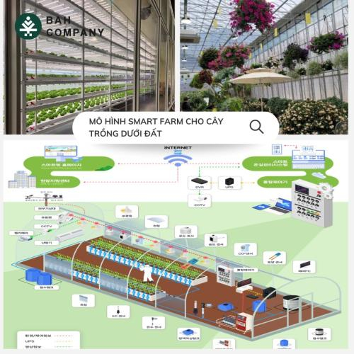 Smart farm