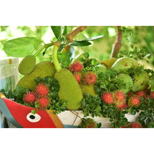 Ý Tưởng Sáng Tạo: Kem Trái Cây