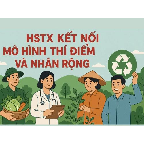 5. HSTX kết nối mô hình thí điểm và nhân rộng