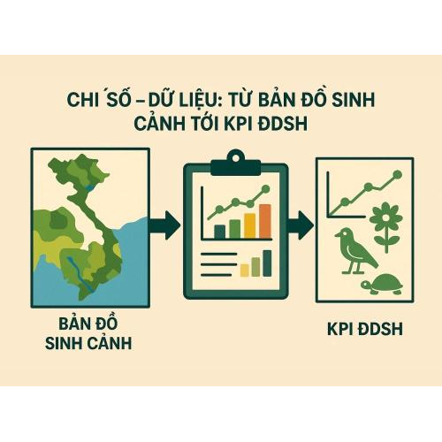 4. Chỉ số – dữ liệu: Từ bản đồ sinh cảnh tới KPI ĐDSH