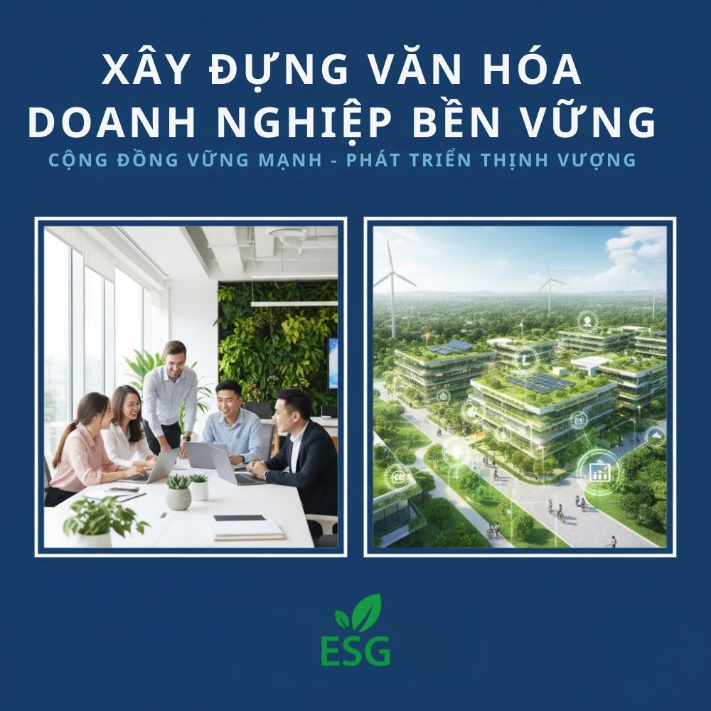 Xây Dựng Văn Hóa Doanh Nghiệp Bền Vững