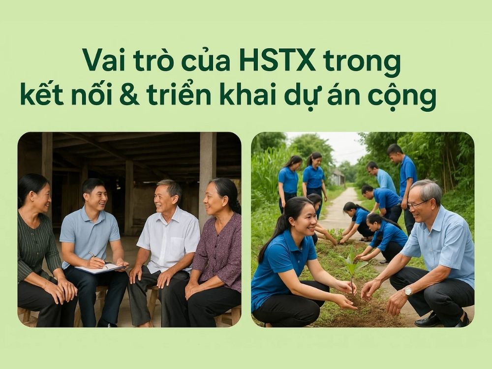 5. Vai trò của HSTX trong kết nối và triển khai dự án cộng đồng
