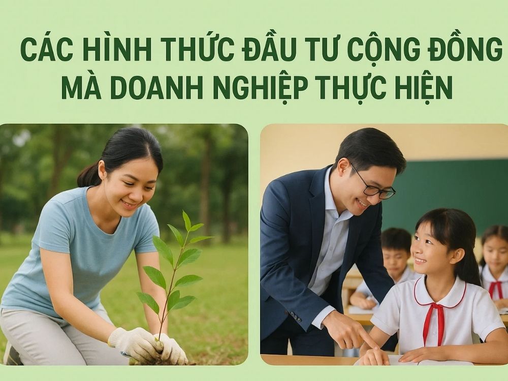 2. Các hình thức đầu tư cộng đồng mà doanh nghiệp thực hiện