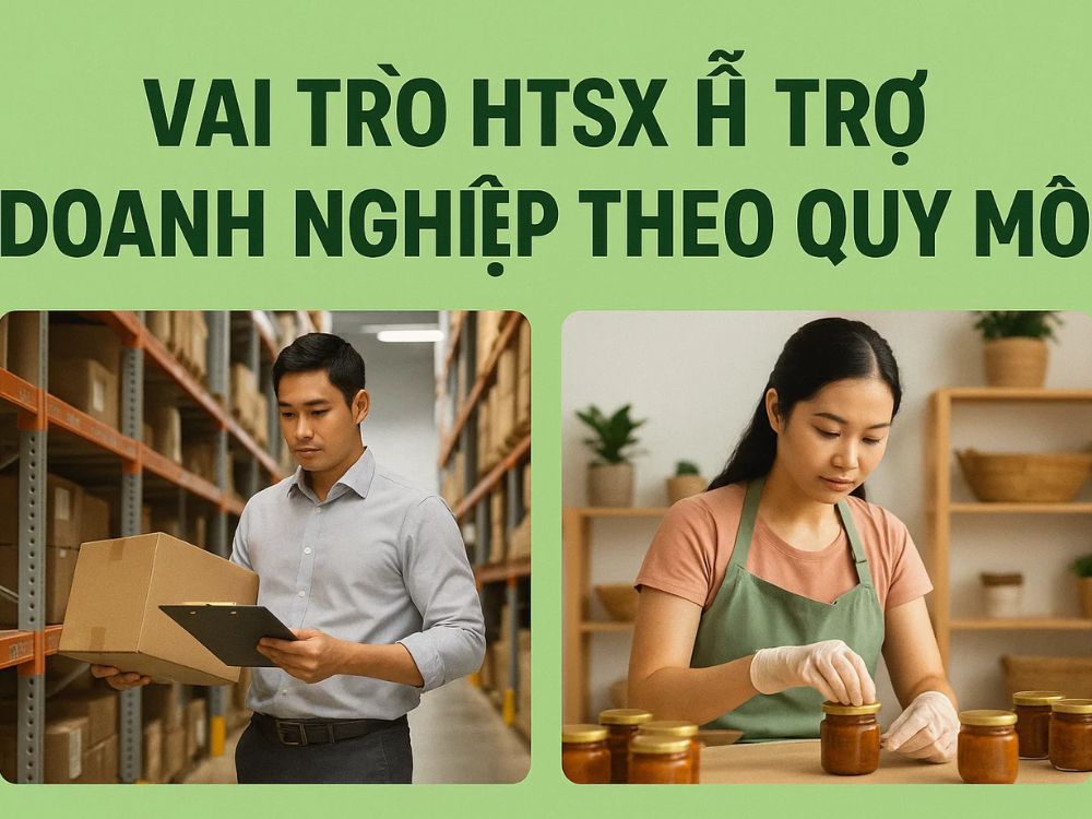 5) Vai trò HSTX hỗ trợ doanh nghiệp theo quy mô