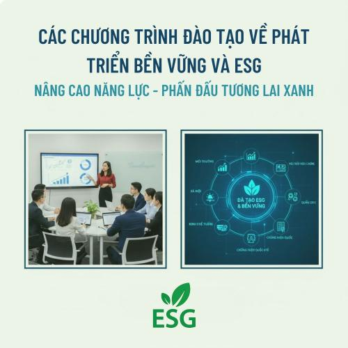 Các Chương Trình Đào Tạo Về Phát Triển Bền Vững Và ESG