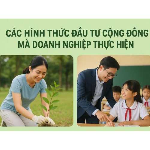 2. Các hình thức đầu tư cộng đồng mà doanh nghiệp thực hiện