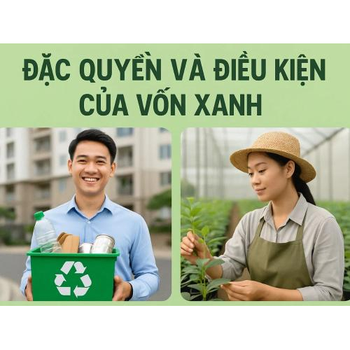 3) Đặc quyền và điều kiện của vốn xanh