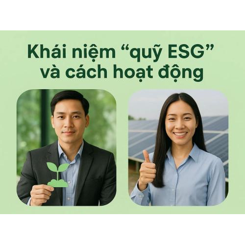 1. Sự chuyển dịch lớn sang đầu tư bền vững