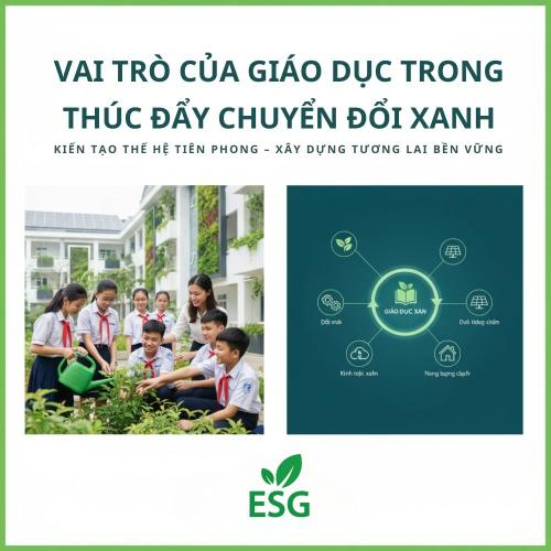 Vai Trò Của Giáo Dục Trong Thúc Đẩy Chuyển Đổi Xanh