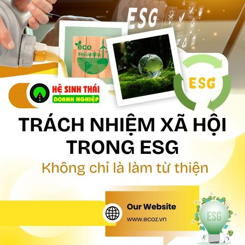 Trách Nhiệm Xã Hội Trong ESG: Không Chỉ Là Làm Từ Thiện