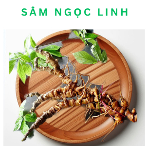 Những Ai Không Dùng Được Sâm Ngọc Linh?