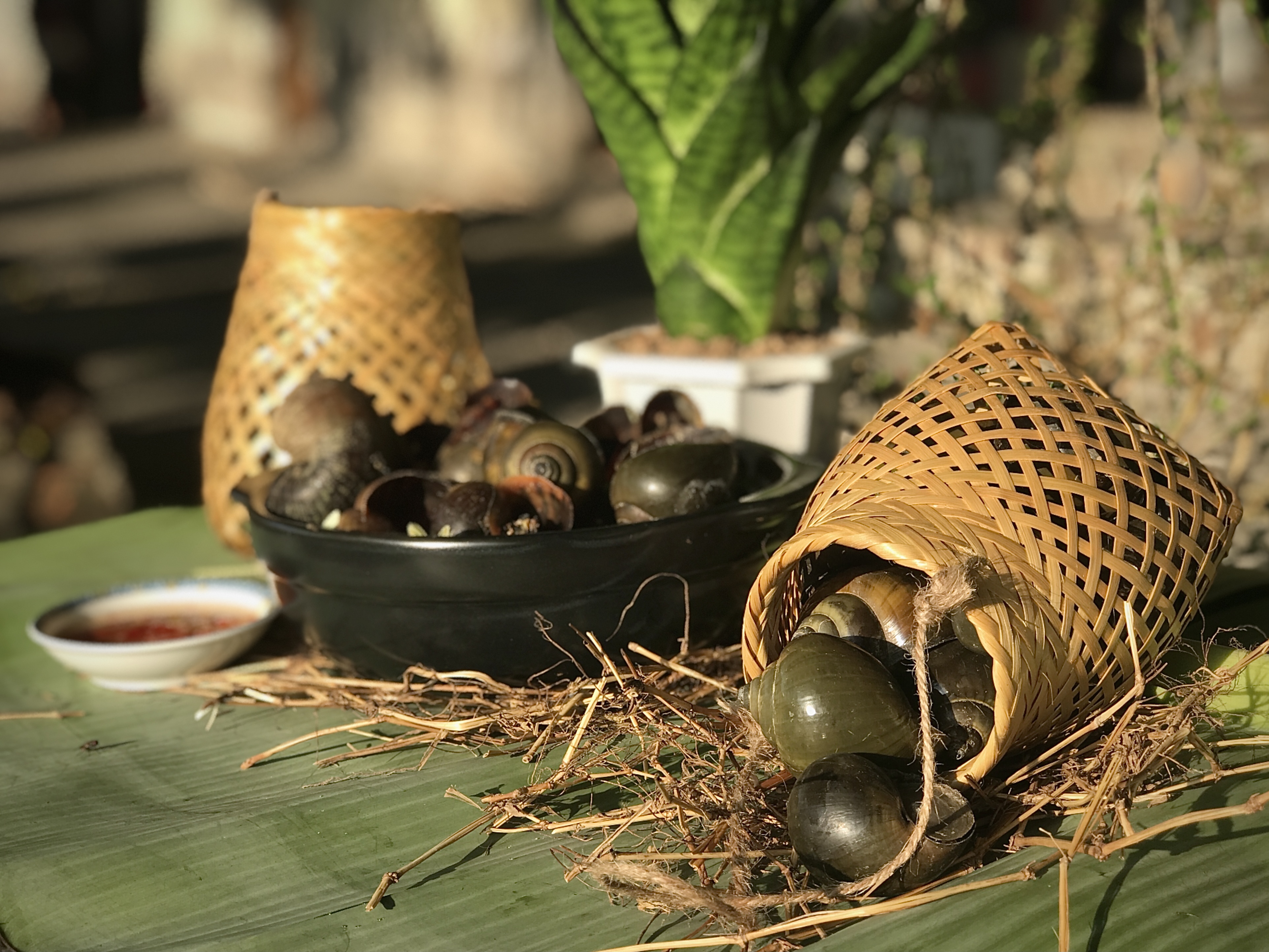 Ốc bươu hấp với sả