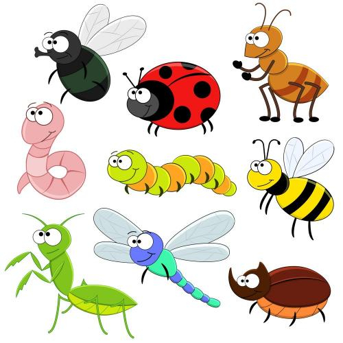 (Học tập ngoại ngữ) [Vocabulary] The insects