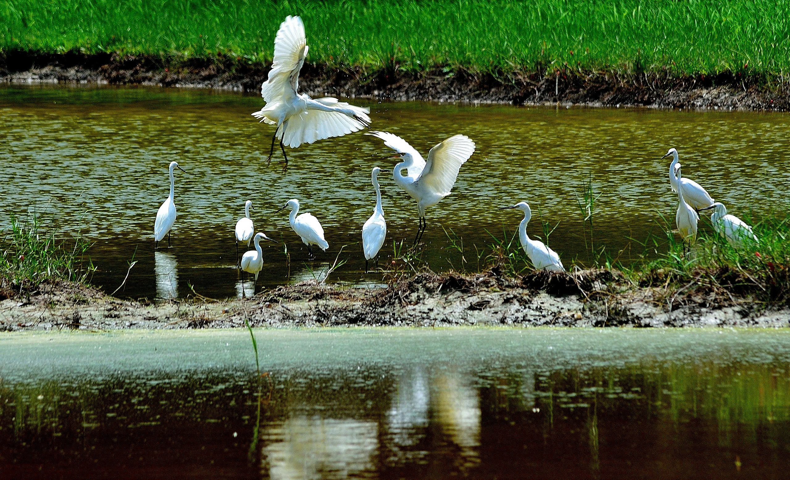 Kho tàng đa dạng sinh học quý giá