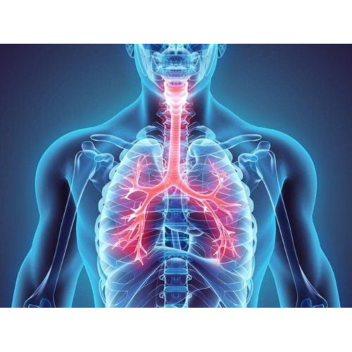5 Công Dụng Tuyệt Vời Từ Đông Trùng Hạ Thảo