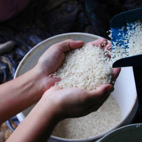 Mẹo Bảo Quản Gạo Không Lo Mối Mọt Vô Cùng Hiệu Quả Và Dễ Dàng