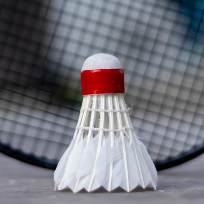 Quả Cầu Lông C30