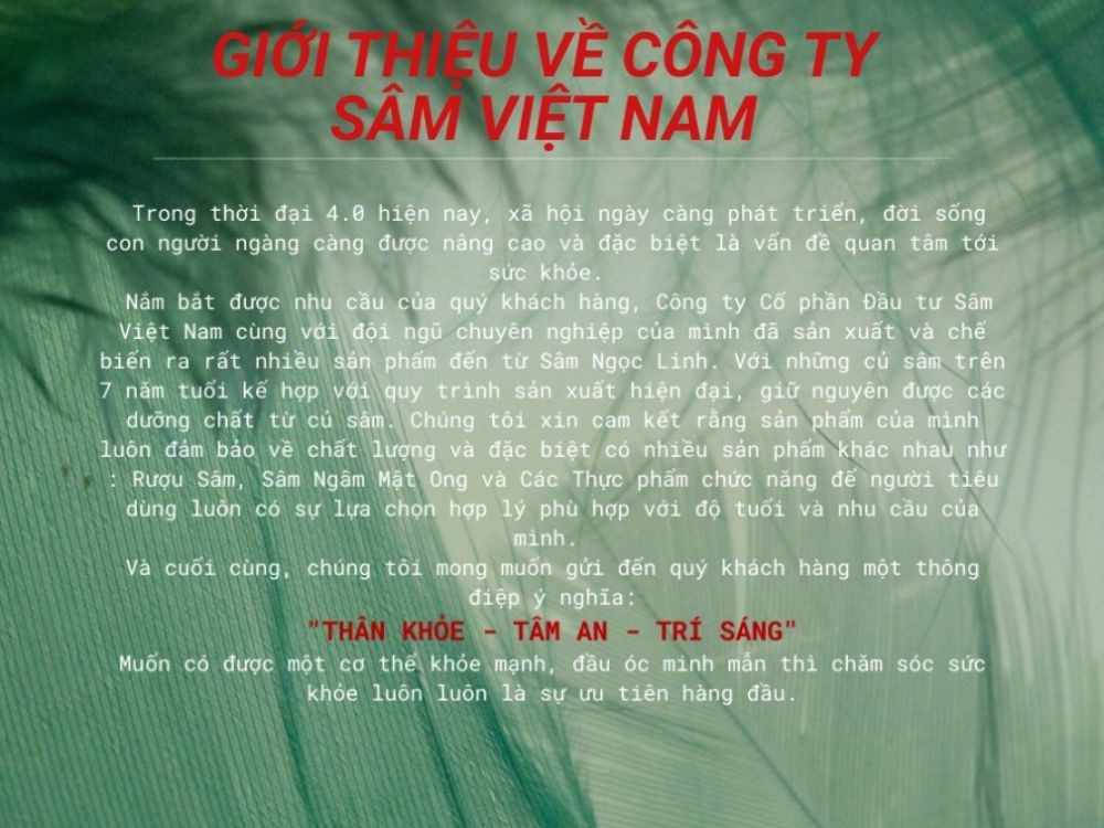 I. Về chúng tôi