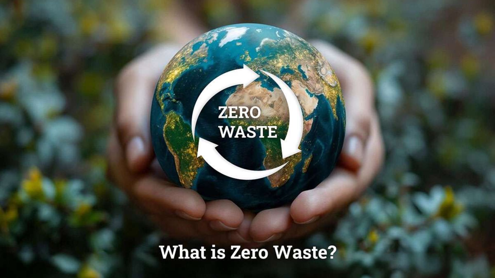 Xu hướng Zero Waste