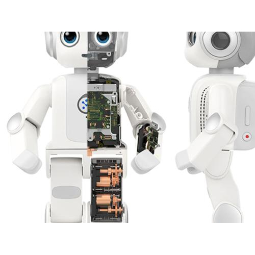 2. Sản phẩm AI LAB Alpha Robot