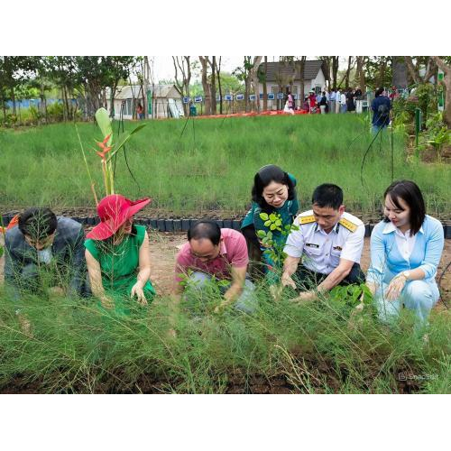 HANE Phát Động Chương Trình "Một Triệu Cây Xanh Cho Biển Đảo Tổ Quốc"