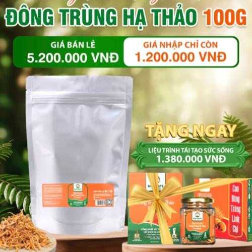 Đông Trùng Hạ Thảo Premium (Hộp 100g)