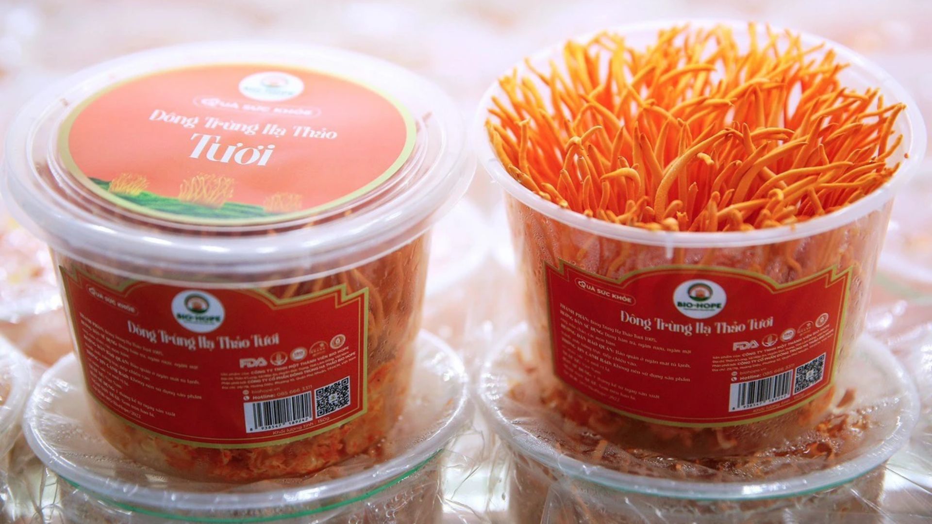 3. Điểm khác biệt trong công nghệ sản xuất Bio-Hope