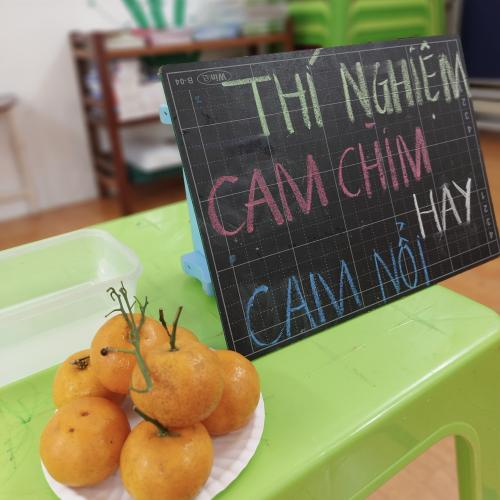 Thí Nghiệm Quả Cam Nổi Quả Cam Chìm