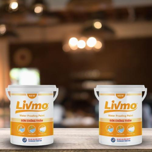Vì Sao Limo CT Là Giải Pháp Chống Thấm Ưu Việt Cho Mọi Nhà?