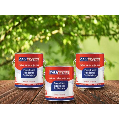 3. Phù Hợp Với Nhiều Kiểu Khí Hậu Việt Nam