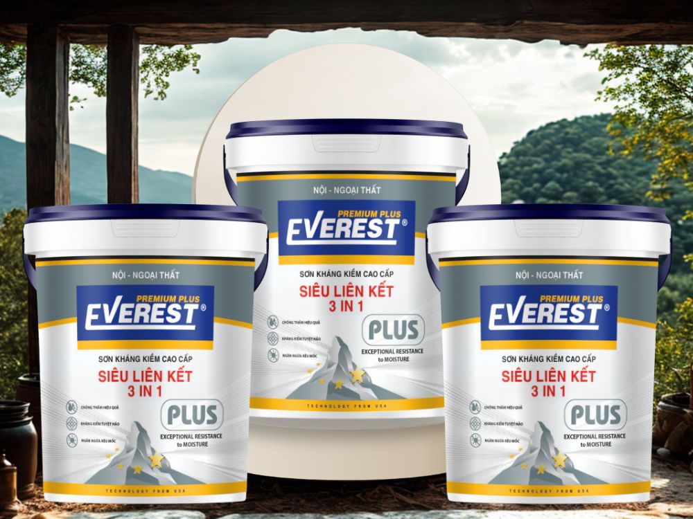6. Lời khuyên khi lựa chọn EVEREST PLUS