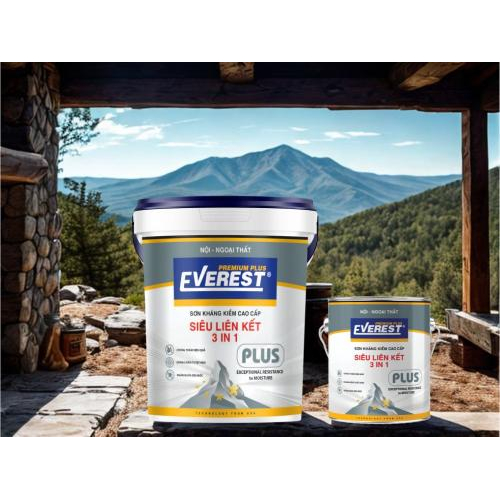 2. Cơ chế chống rêu mốc của EVEREST PLUS