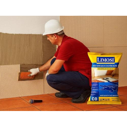 5. Khuyến nghị cho Limosi C0